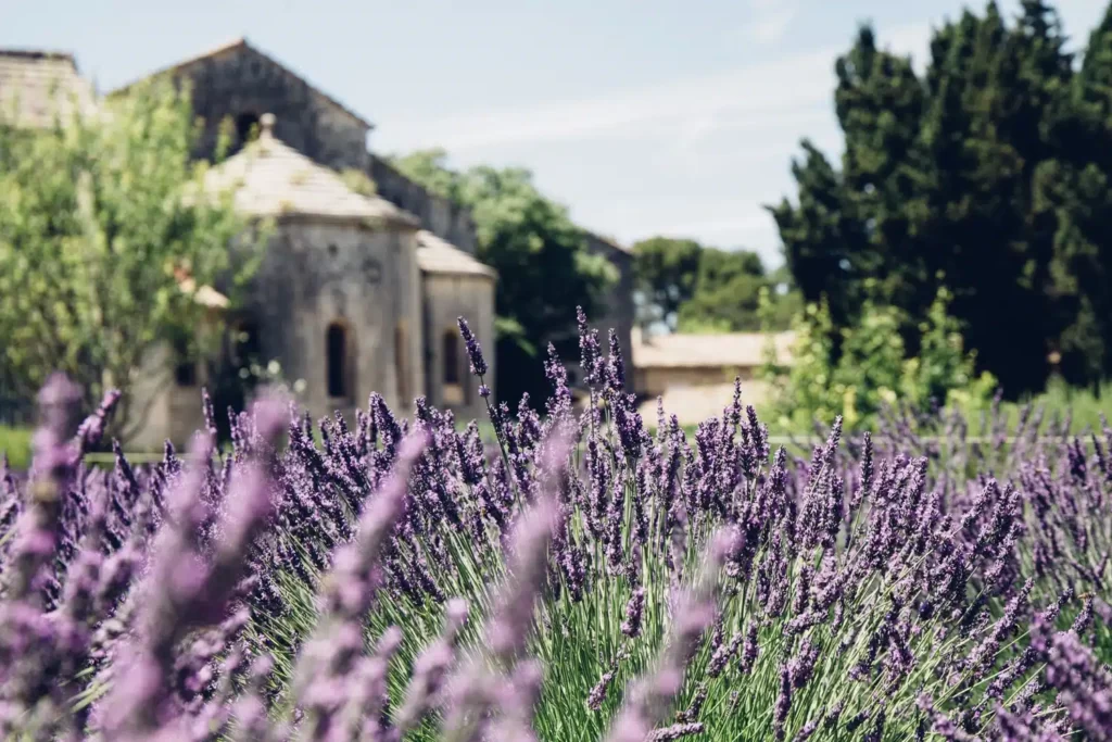 cloitre saint paul de mausole 1 | Time in Provence